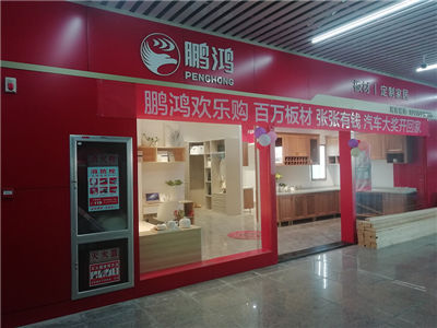 【yl6809永利】环保实木生态板材家具厂家批发署理加盟